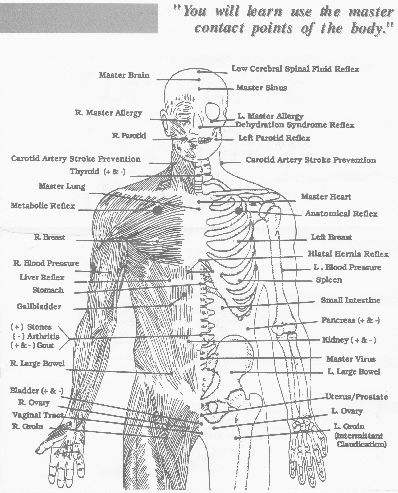 Chiropractic Body Charts